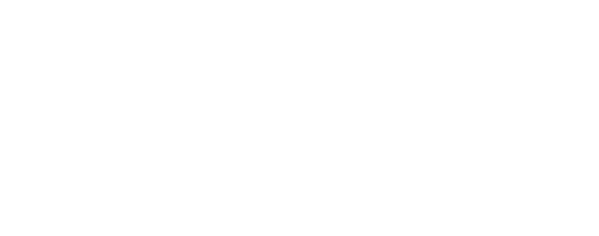 Seidor Logo